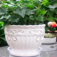 10-Piece Clear Plastic Planter Saucer Set