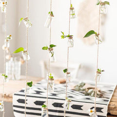 Twine Hanging Propagation Jars