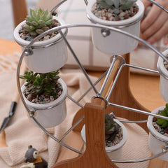 Wooden Ferris Wheel with Ceramic Succulent Planters