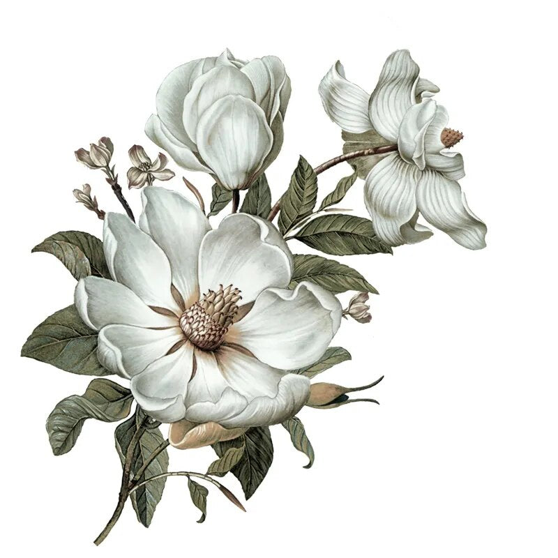 Three Ratels QC115  flowers wall sticker  Classical Magnolia for home  decoration wall sticker art for bedroom