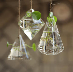 3-Piece Glass Hanging Terrarium Vases