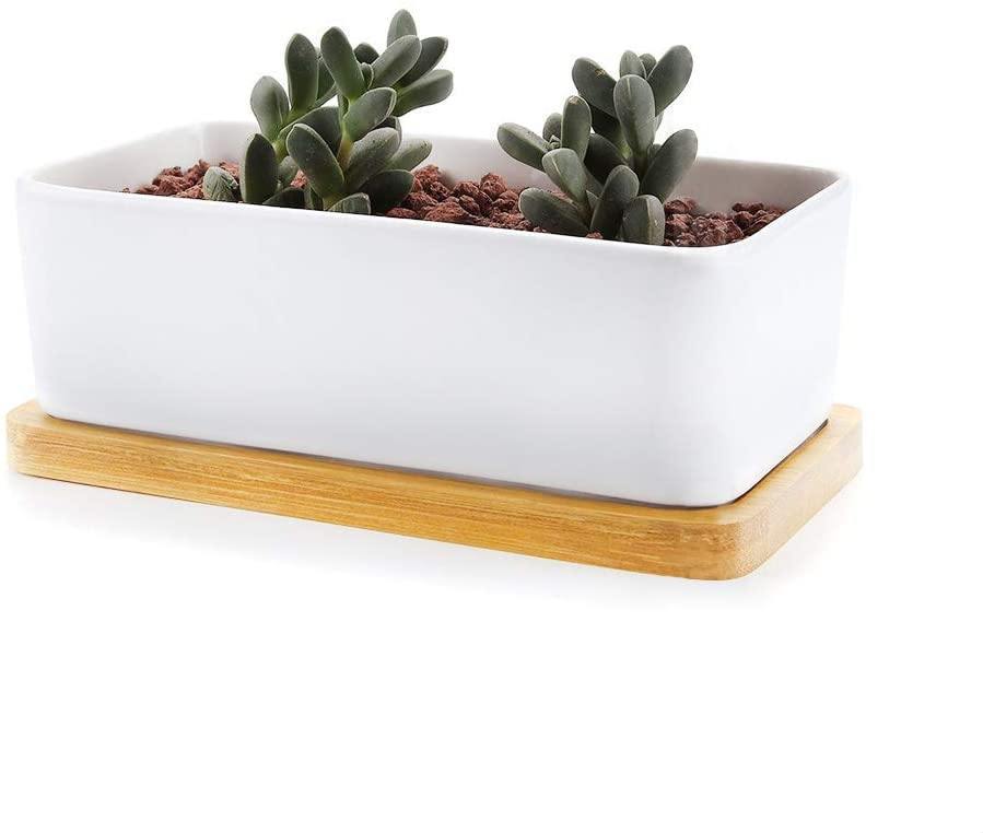 Natural Bamboo Planter Saucer Trays