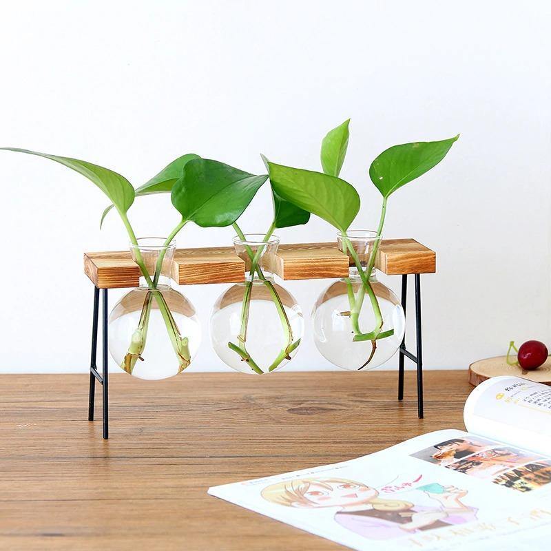 Glass Propagation Vase with Iron and Wood Stand