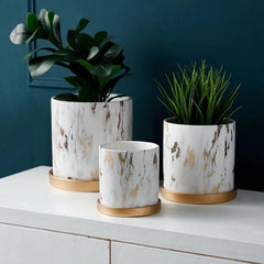 Golden Maze Flower Pots Collection