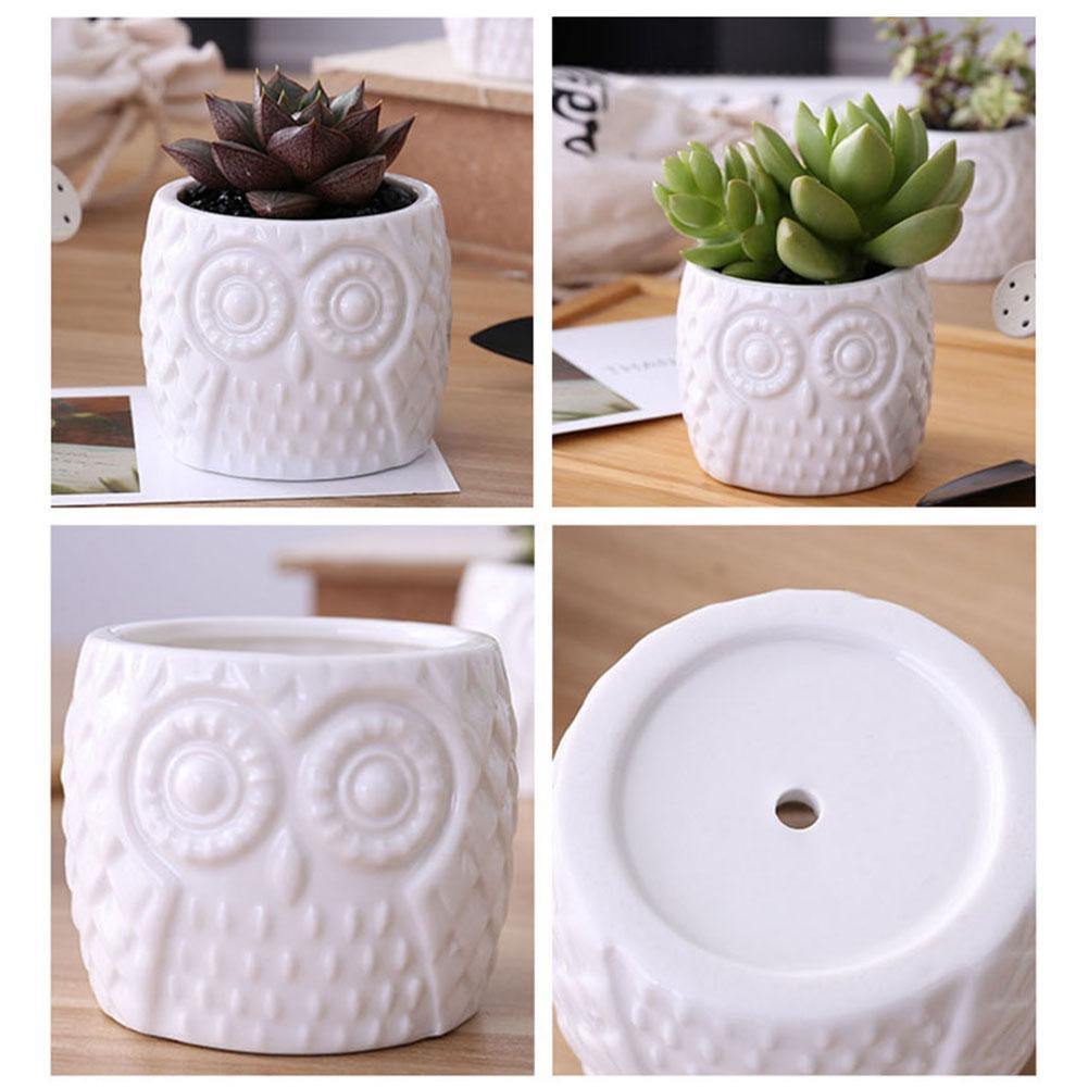 Tiered Ceramic Owl Succulent Planters with Bamboo Shelf