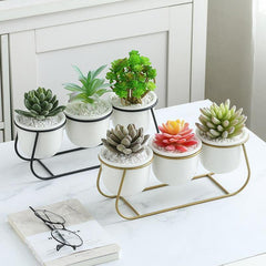 White Ceramic Succulent Planter Trio with Metal Sleigh Stand