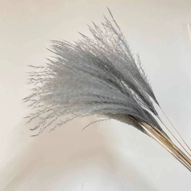 Grey Pampas Grass Decor Whit Dried Flowers Bouquet