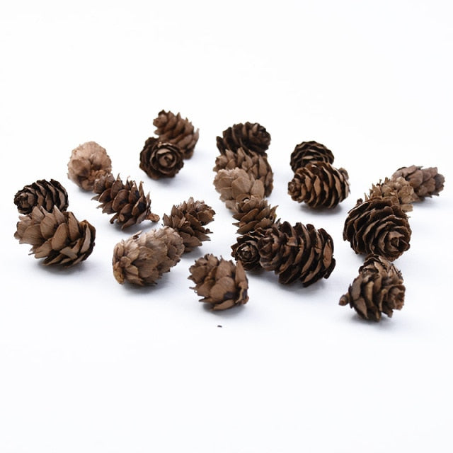 50PCS Natural Dried Flowers Pinecone Series