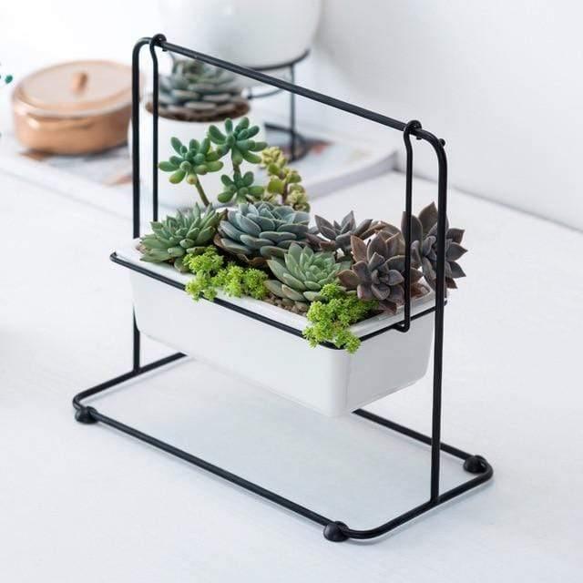 Succulent Swing Planter Black / A | Sage & Sill